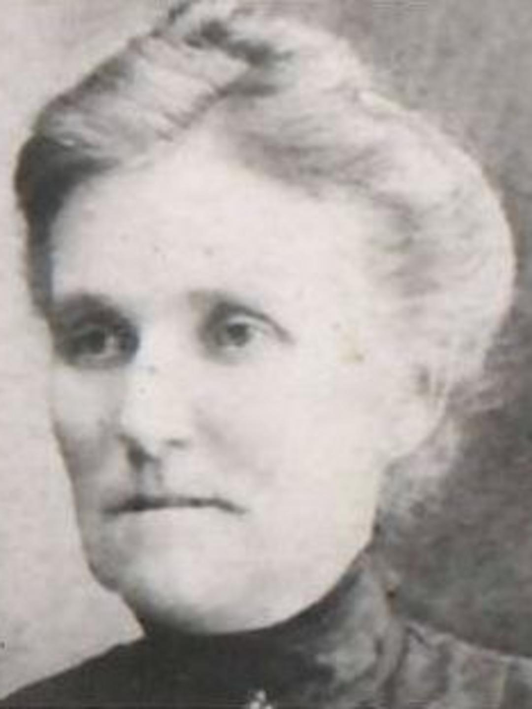 Hannah Griffiths (1853 - 1913) Profile